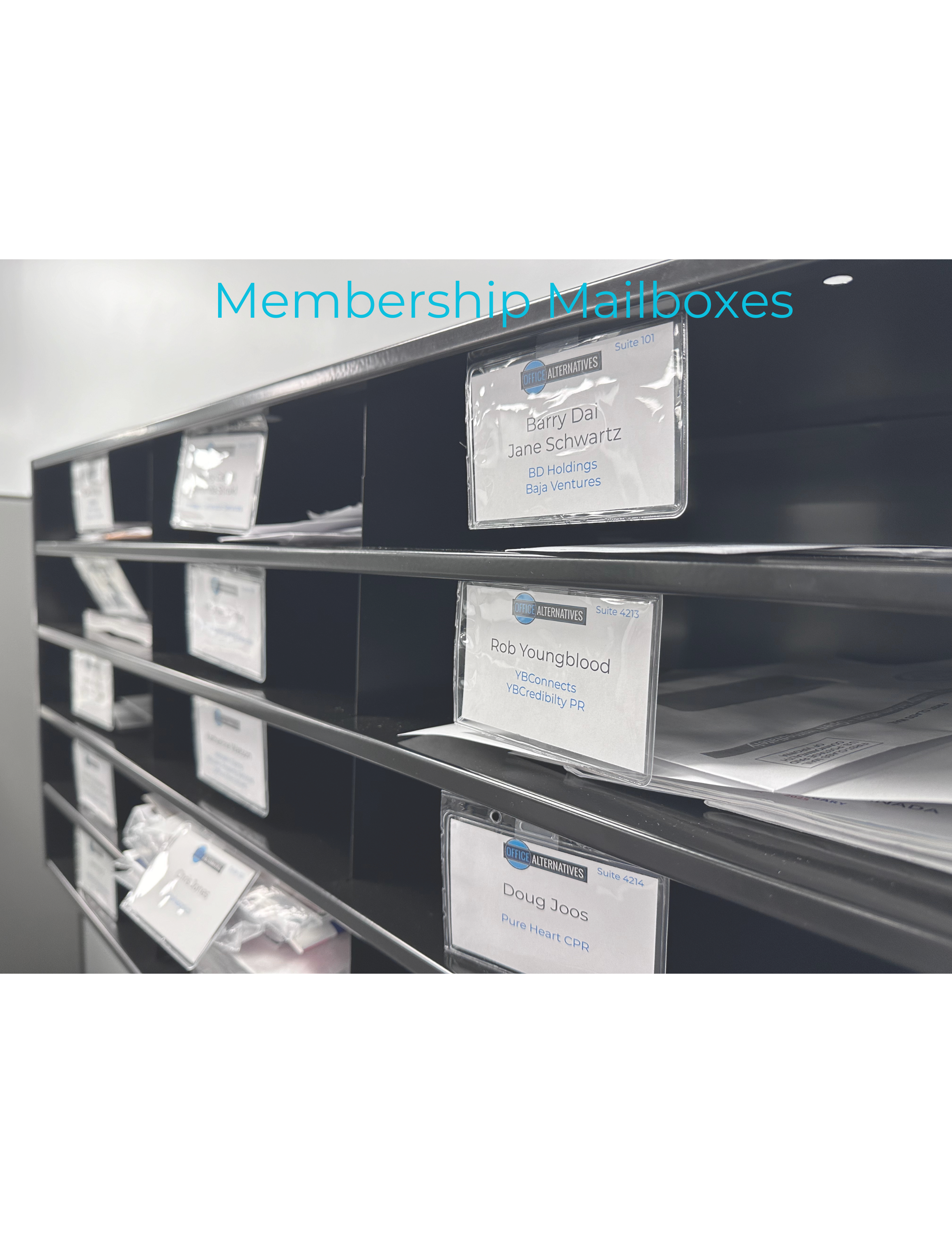 Membership Mailbox Service